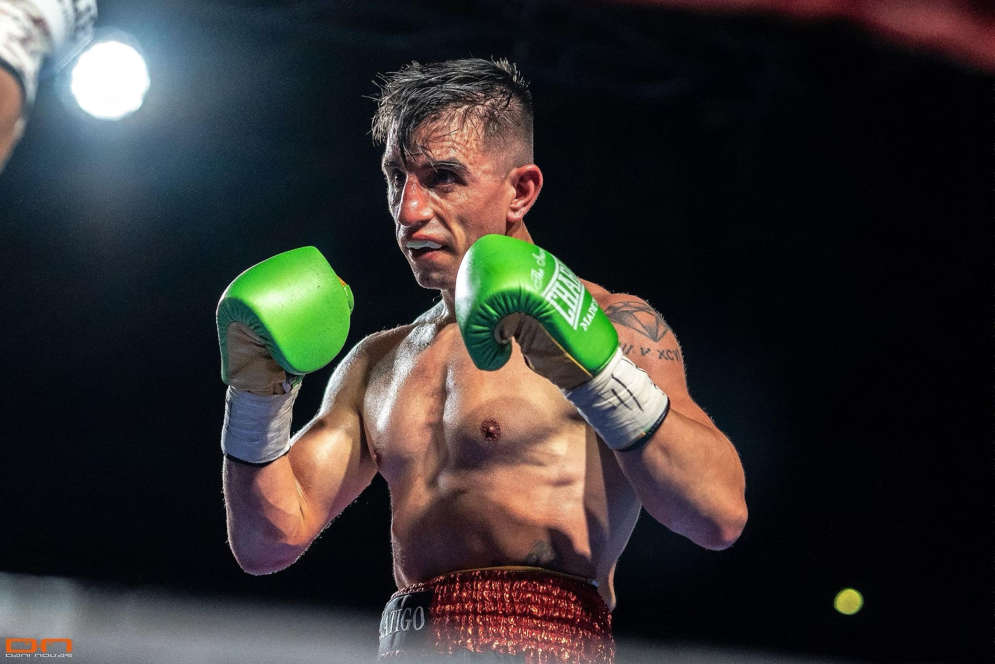 Boxeador Pro